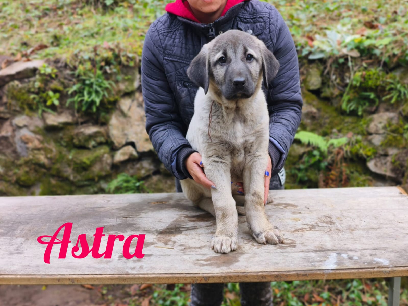 Fenka - 15. októbra 2025