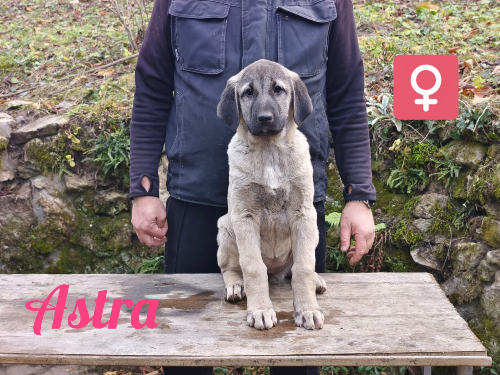 Fenka - 31. októbra 2025