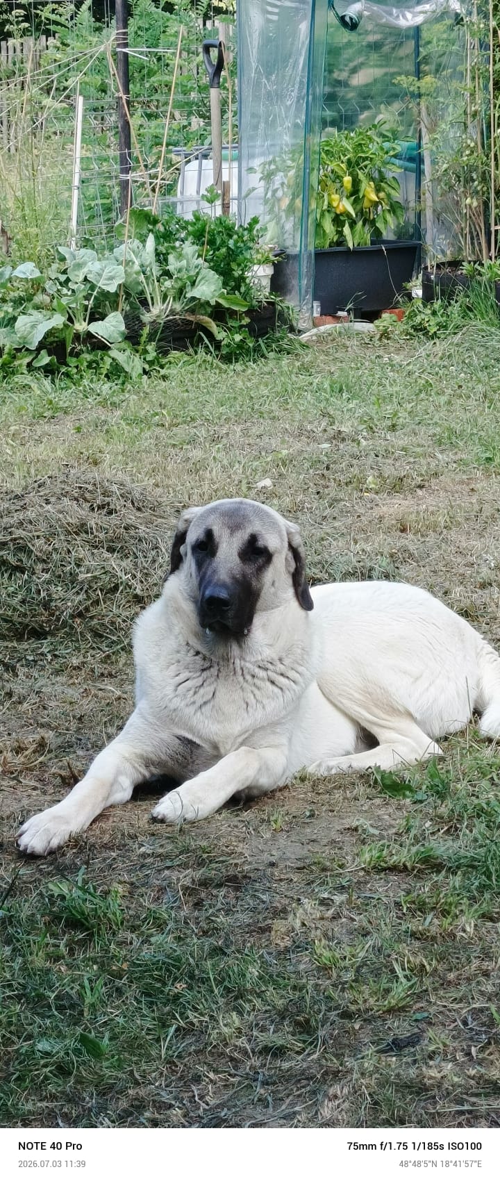 Náš život - foto 5