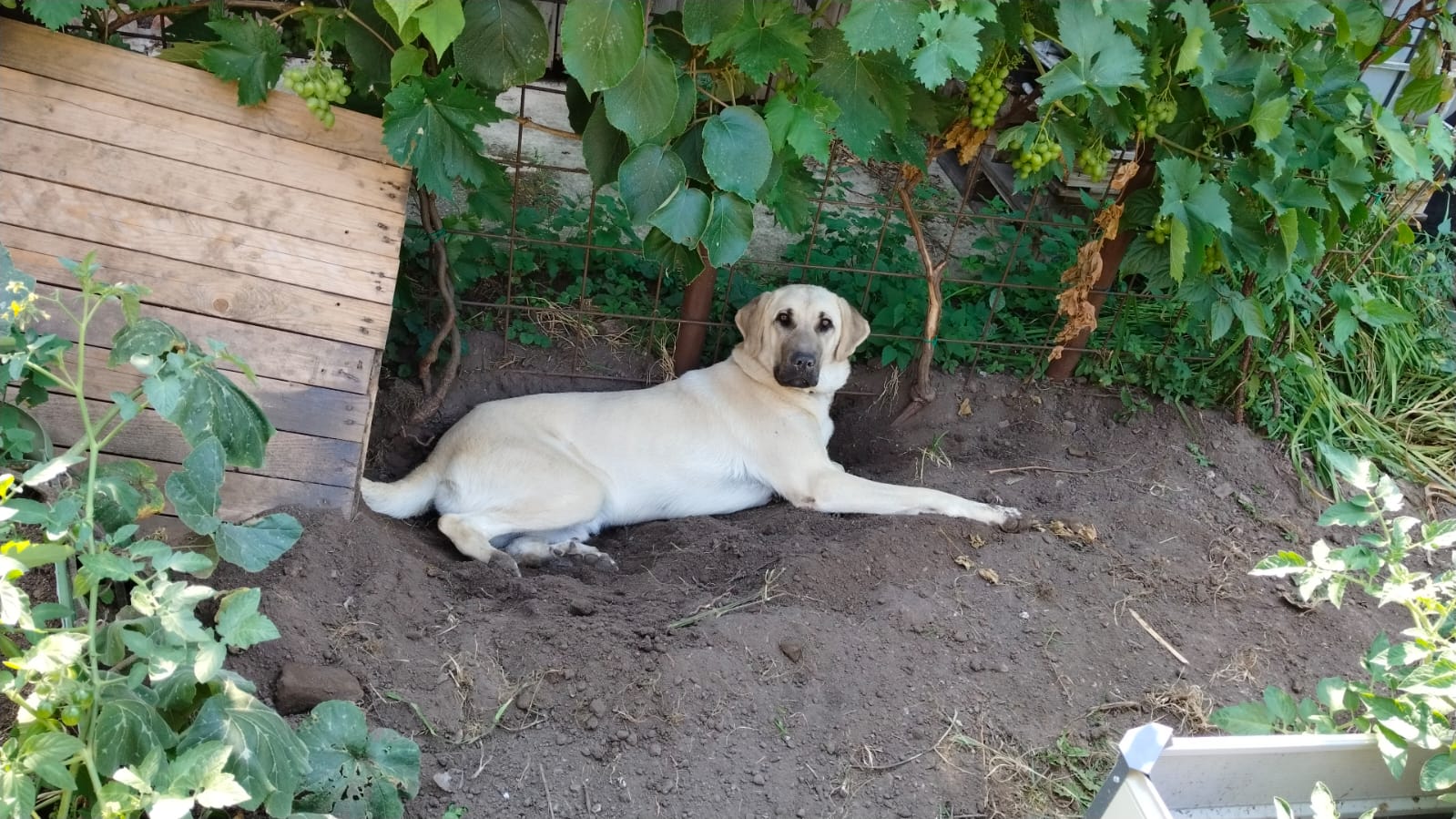 Náš život - foto 7